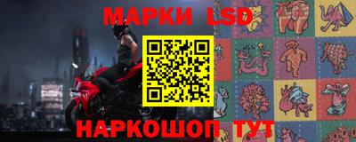 спайс Шелехов