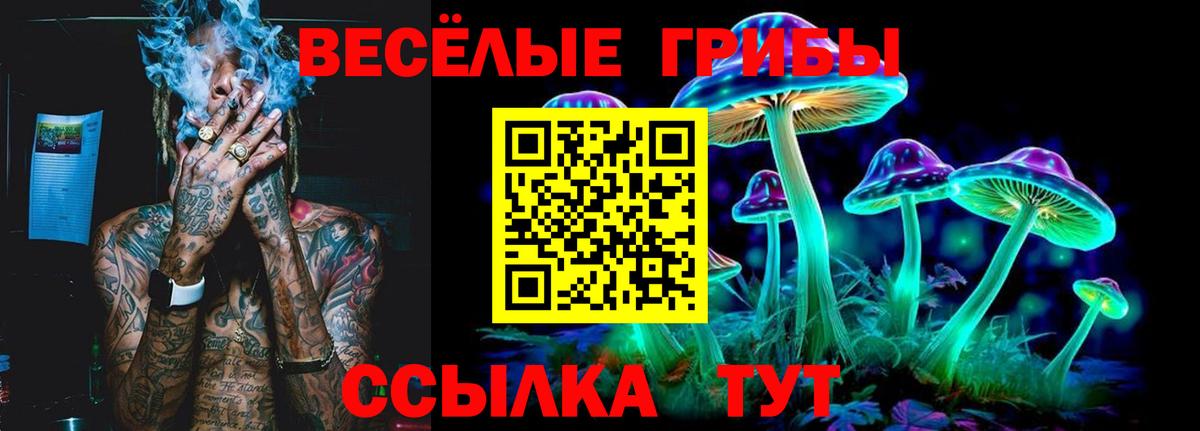 Артём  Галлюциногенные грибы мицелий  Вход с VPN 