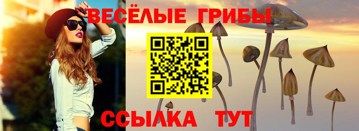 Псилоцибиновые грибы ЛСД Артём